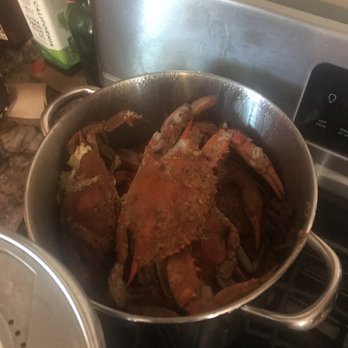 N.B.S. Seafood - Large male crabs - Seafood Markets Near Me - Glen Burnie, Maryland N.B.S. Seafood - Large male crabs - Seafood Markets Near Me - Glen Burnie, Maryland