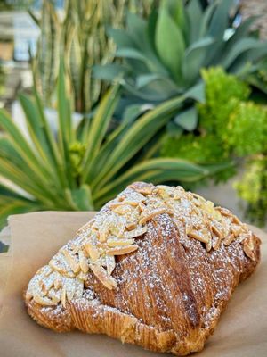 Blue Bottle Coffee by null
