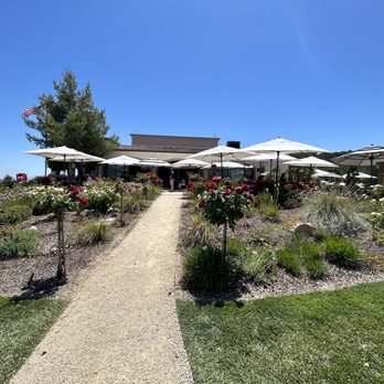 DAOU Vineyards - Wineries Near Me - Paso Robles, California