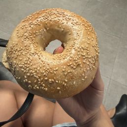 Sesame Bagel Sesame Bagel