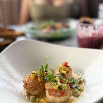 Mariposa Latin Inspired Grill - Sea Scallops - Latin American Near Me - Sedona, Arizona Mariposa Latin Inspired Grill - Sea Scallops - Latin American Near Me - Sedona, Arizona