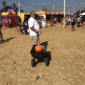 Pa's Pumpkin Patch - Amusement Parks Near Me - Lakewood, California