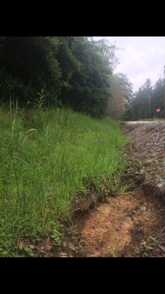 BEFORE AND AFTER LAWN CARE, LANDSCAPING AND PRESSURE WASHING Baxley