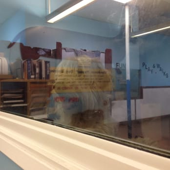 Obedience Please Dog Training - Pet Training Near Me - South Pasadena, California