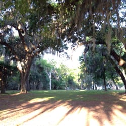 Run For The Trees 5K - Beautiful views