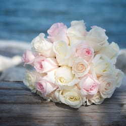 Love In Bloom