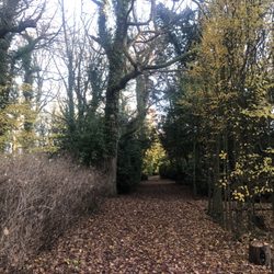 Stanhill Court Hotel - The grounds ( near the amphitheater and car park )