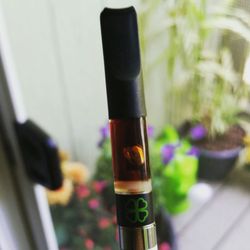 Paradise Found - Hush Cosmic Candy CO2 oil