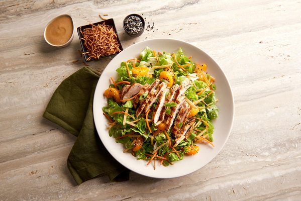 Rainforest Cafe by null