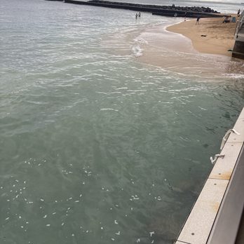 Monkeypod Kitchen - Patio view - Tacos Near Me - Honolulu, Hawaii