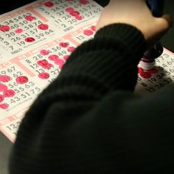 Delta Bingo & Gaming