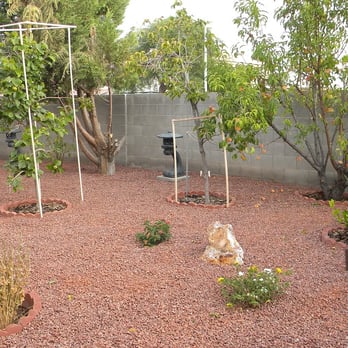 Plant Wise - a cat sitting in a garden - Landscaping Near Me Plant Wise - a cat sitting in a garden - Landscaping Near Me