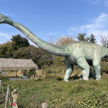 Field Station: Dinosaurs - Brachiosaurus - Amusement Parks Near Me - Leonia, New Jersey
