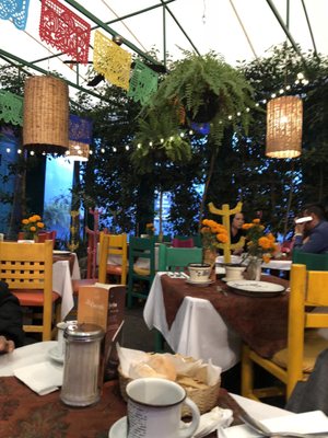 La Casa de Frida by null