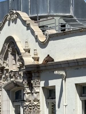 Highland Hospital by null