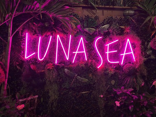Lunasea Key West Cafe by null