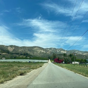 Bennett's Honey Farm - Specialty Food Near Me - Fillmore, California Bennett's Honey Farm - Specialty Food Near Me - Fillmore, California