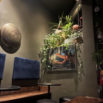 Propagation - Cocktail Bars Near Me - San Francisco, California