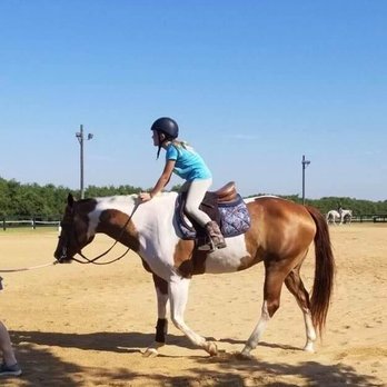 Southern Star Farm - Just two days in, and already trotting! - Horse Boarding Near Me - Brookshire, Texas Southern Star Farm - Just two days in, and already trotting! - Horse Boarding Near Me - Brookshire, Texas