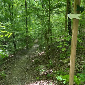Elsie Holmes Nature Park - Hiking Near Me - Ringgold, Georgia