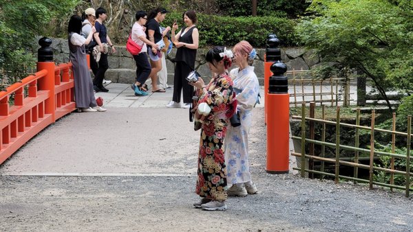 Senbon Torii (Thousand Torii Gates) by null