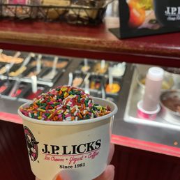 One Scoop Ice Cream