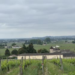 Château Franc Mayne
