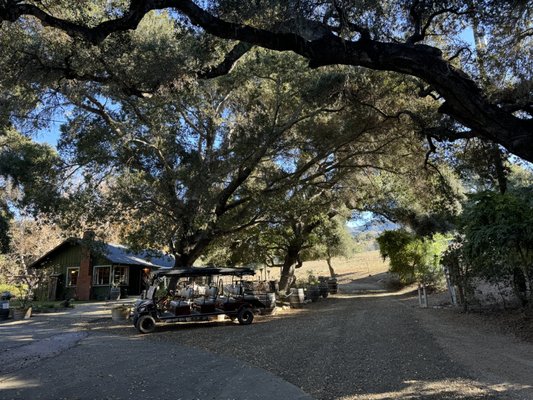 Alma Rosa Winery & Vineyards Tasting Room by null