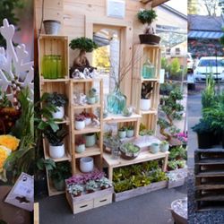 Seaberry Garden & Flowers