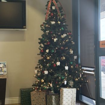 Smile Builder Dental - Cute indoor decoration_a Christmas tree!!! - General Dentistry Near Me - Riverside, California Smile Builder Dental - Cute indoor decoration_a Christmas tree!!! - General Dentistry Near Me - Riverside, California
