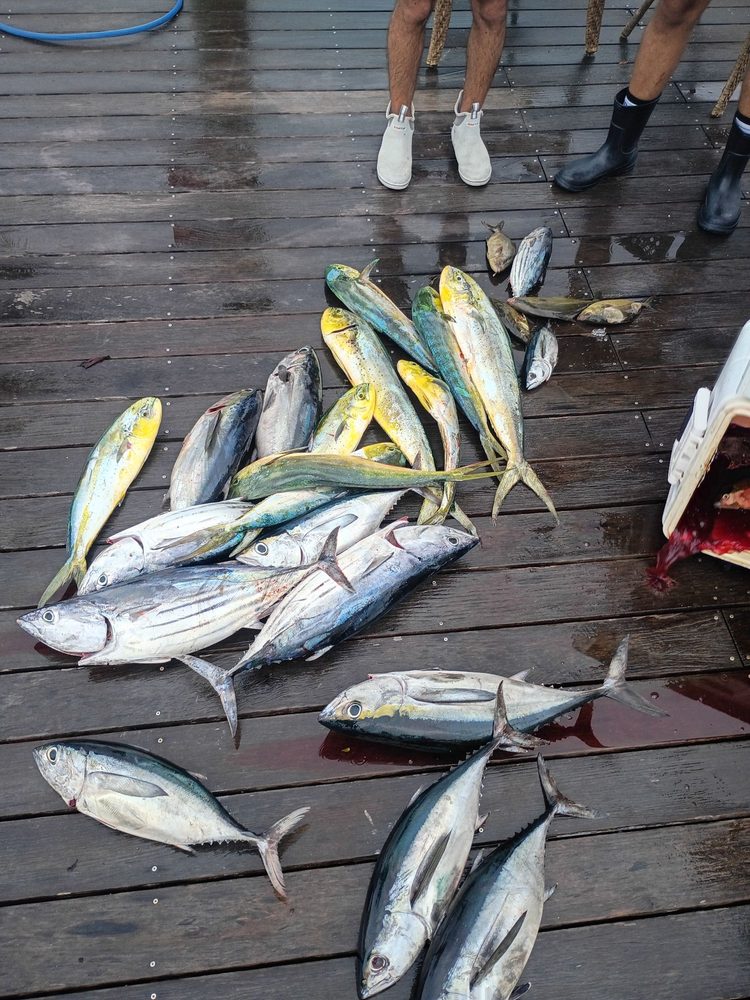 Reel Keys Fishing Charter