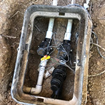 Silver State Lawn Care - a broken toilet in the ground - Tree Services Near Me Silver State Lawn Care - a broken toilet in the ground - Tree Services Near Me
