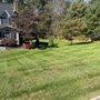 Photo of First Class Grass