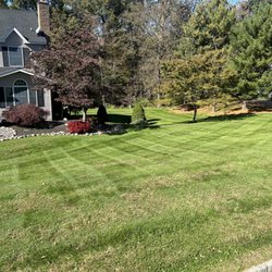 First Class Grass