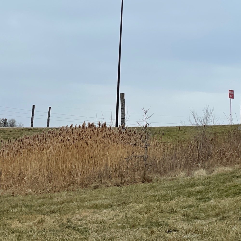 Totems - Public Art Near Me - Indianapolis, Indiana
