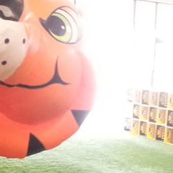 Tiger Bounce - Panorama of the whole place!