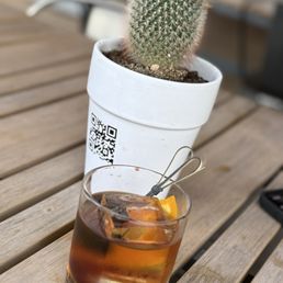Cocktails and Cacti - A small cactus plant in a white ceramic pot with a QR code is positioned on a wooden outdoor table. Next to it, there is a short glass filled with iced cocktail, garnished with orange slices and a metal stirrer. The background is blurred, indicating an outdoor setting with additional furniture or objects.