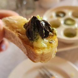 Blue Moon Over Avila - Escargot