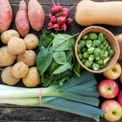 Groundworks Farm - Winter-Spring CSA Share