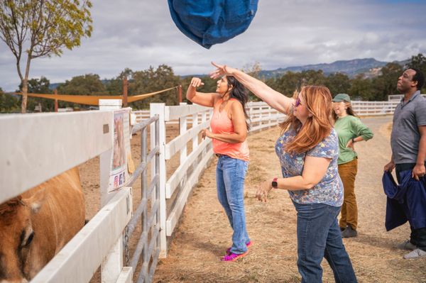 Charlie's Acres Farm Animal Sanctuary by null
