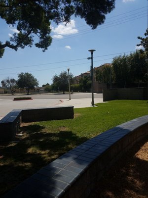 Olive Park by null