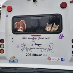 Mobile Pet Grooming Services for Dogs & Cats