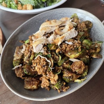 The Obstinate Daughter - The DELICIOUS Farro Salad with Roasted Chicken - Obstinate Daughter - May 2026 - Pizza Near Me - Sullivan's Island, South Carolina