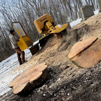 Landis Tree & Stump - Tree Services Near Me - Kendallville, Indiana Landis Tree & Stump - Tree Services Near Me - Kendallville, Indiana
