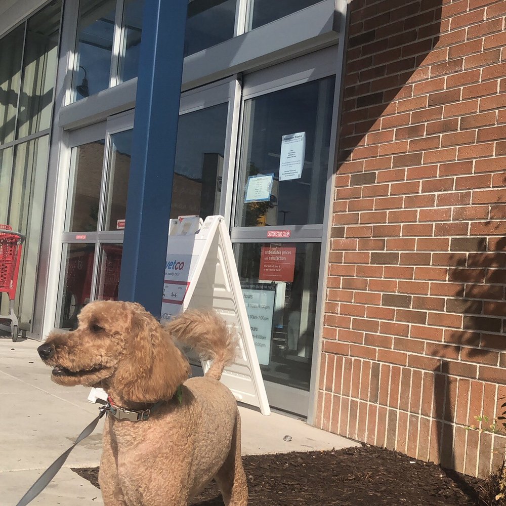 After the groomers