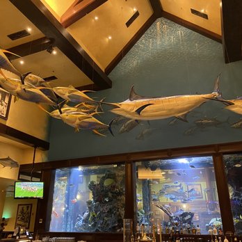 Islamorada Fish Company - Ashland restaurant - Seafood Near Me - Ashland, Virginia