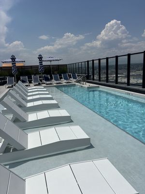 Rose & Thorn by null