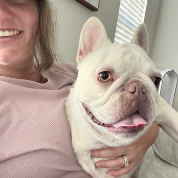 Graceful Paws Pet Sitting - Dog Walkers Near Me Graceful Paws Pet Sitting - Dog Walkers Near Me