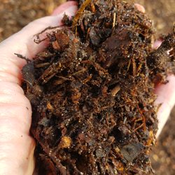 Hammond Farms Landscape Supply - You can see that there is a lot of soil in what is supposed to be wood mulch.