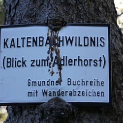 Kaltenbachwildnis